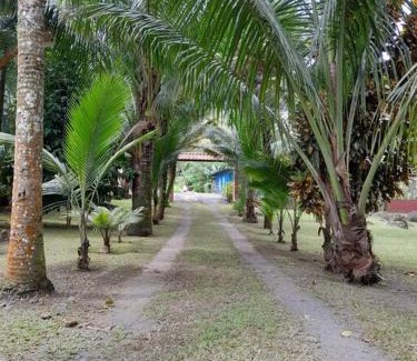 Guapiles House | Riverside Oasis Cabin with A C