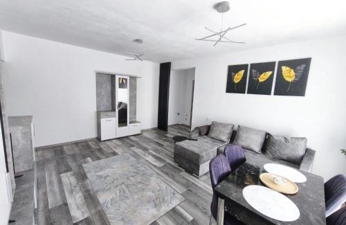 Ploiesti Apartment | ROA residence