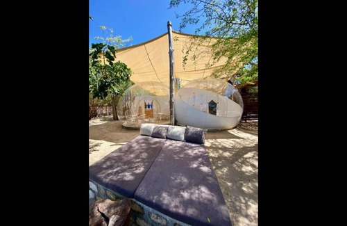 Watamu Bed & Breakfast | Rock and Sea Bubble Lodges