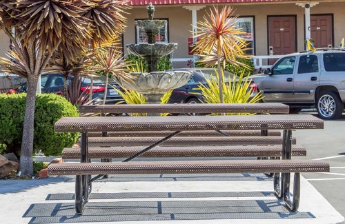 Northwest Berkeley Hotel | Rodeway Inn - Berkeley