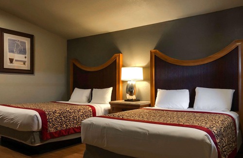 Flagstaff Hotel | Rodeway Inn Flagstaff