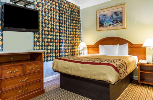Hayward Hotel | Rodeway Inn & Suites Hayward