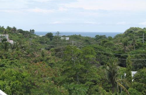 Manoc-Manoc House | Roger's Place Guesthouse
