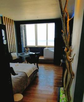Berck-sur-Mer Apartment | Romantique Vue Face mer