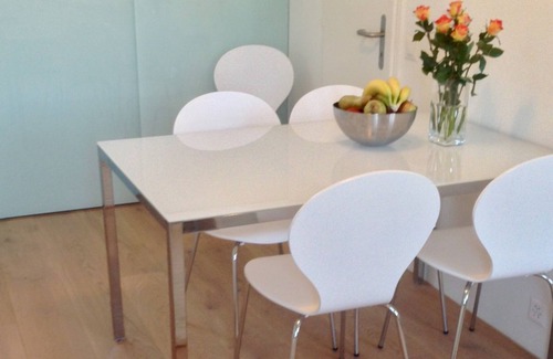 Carouge Apartment | Roof Top Apartment in the Heart of Vieux Carouge, Geneva's fanciest neighborhood