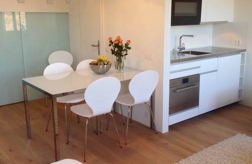 Carouge Apartment | Roof Top Apartment in the Heart of Vieux Carouge, Geneva's fanciest neighborhood