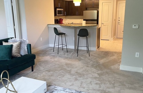 Atlanta Apartment | ROOFTOP VIEWS! Relax in our stylish and bring apartment in Atlanta