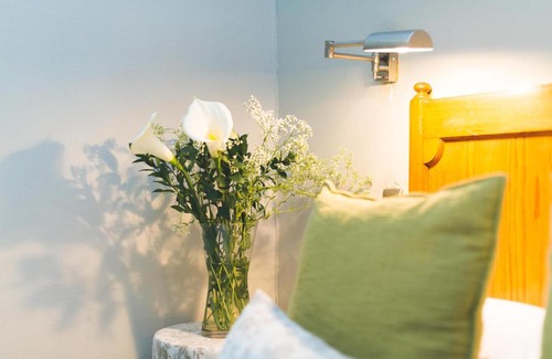 Brooklyn House | Room in BB - Lovely Guesthouse in Pretoria welcoming you on a spacious room with Breakfast