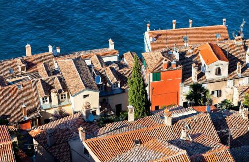 Borik House | Room in Rovinj with terrace, air conditioning, W-LAN 81-7