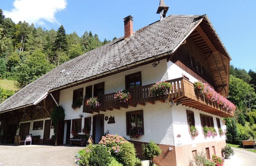 Hornberg Apartment | Room 'Talblick' with Mountain View, Balcony and Wi-Fi