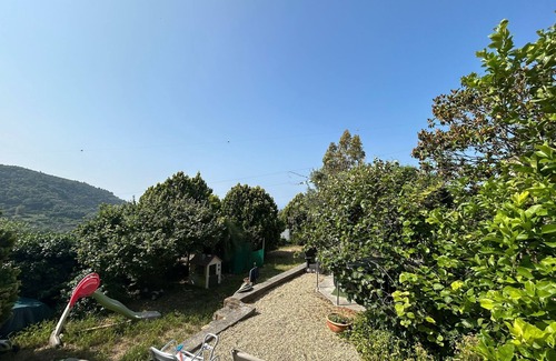 Sasso di Bordighera Apartment | Room 'Ulivo' with Sea View, Shared Garden and Wi-Fi