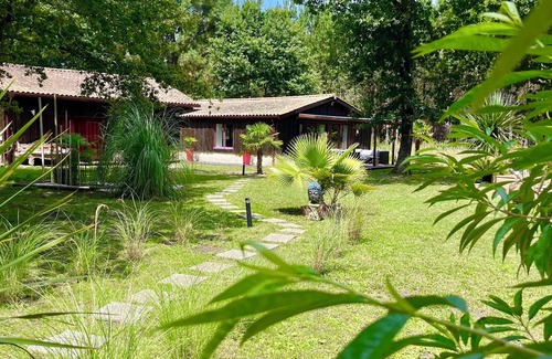 Hourtin House | Room with heated, saltwater pool in a haven of peace in the pines 🌵🌸