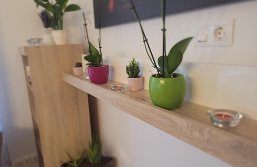 Pecs Apartment | Rosé Apartment