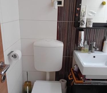 Ljubljana House | ROSE Resort, ROOM 40m2 with terrace and shared bathroom