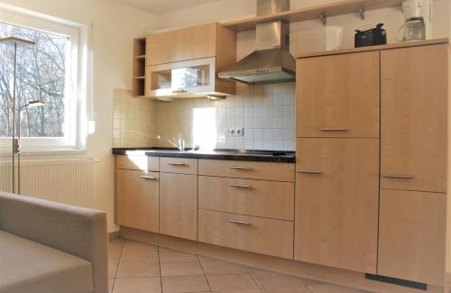 Kirchdorf Apartment | Roter Erik App 4, DG re