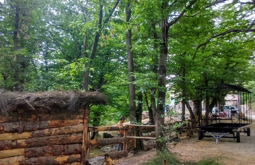 Valgorge Cabin | Roulotte le Bleuet, in a natural setting close to hiking trails