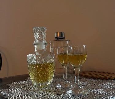 Petrovaradin Apartment | Royal castle Fruška gora