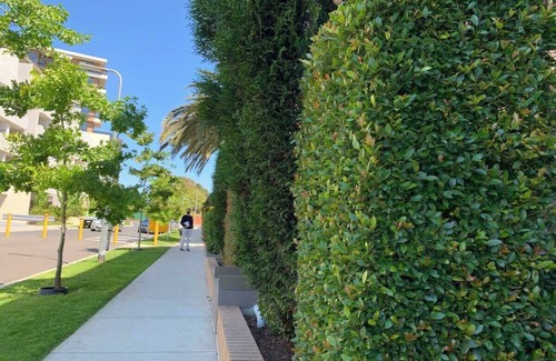 Caulfield North Apartment | Royal Executive Living - Garden Executive Home