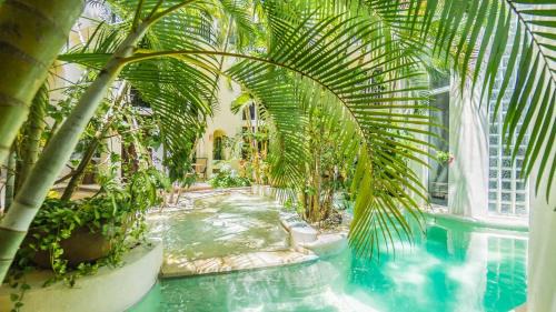 Downtown Apartment | Royal Palms 5 condo