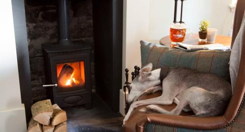 Dolgellau Hotel | Royal Ship