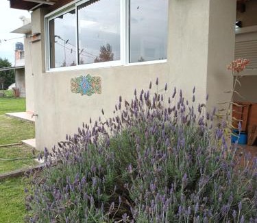 Mar del Sur House | Ruca Newen Mar del Sur