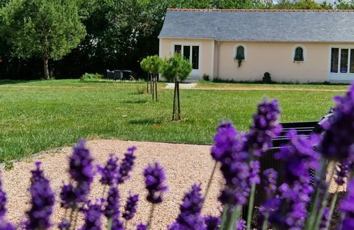 La Membrolle-sur-Choisille House | Ruhiges Ferienhaus in Mitte der Loire Schlösser - in Grüner Umgebung