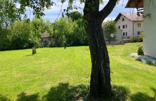 Unterallgau Apartment | Ruhige Ferienwohnung inklusive Garten Souterrain - neu renoviert