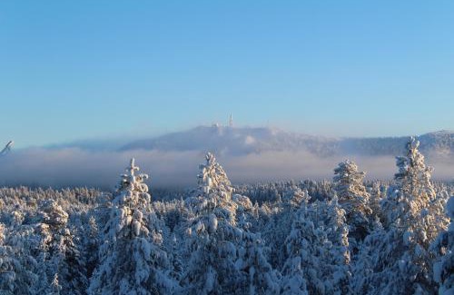 Rukatunturi Apartment | Rukaköngäs D 17