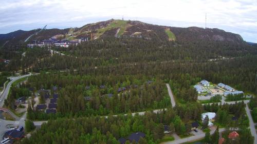 Rukatunturi Apartment | Rukaköngäs D 17