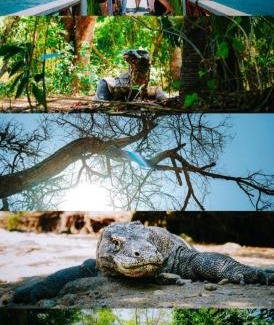 Komodo House | Rusde's Komodo Homestay