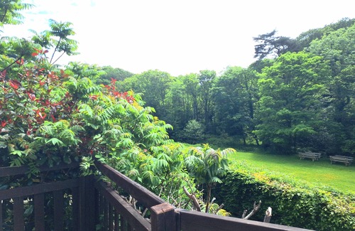 Saint Gennys Cottage | Rusey Cottage, Crackington Haven, Bude, amazing location, stunning views.