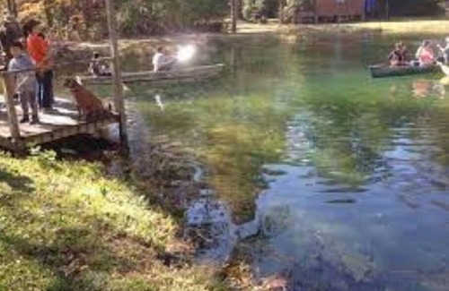 Bogalusa Cabin | Rustic Backyard Lumberjack Cabin