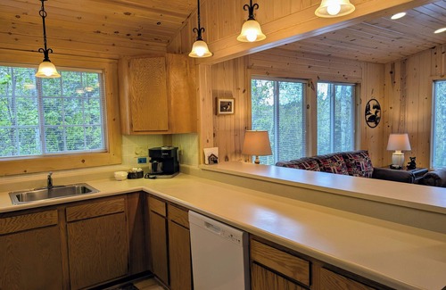 Sayner Cabin | Rustic Fawn | Fireplace, AC, Lake Access w/Dock, Dogs OK w/fee
