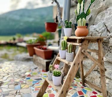 Cetinje Municipality House | Rustic house Pojata