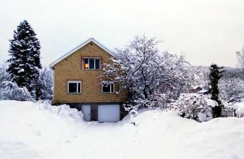 Ambjorby House | Rustic House with Mountain View in Ambjörby