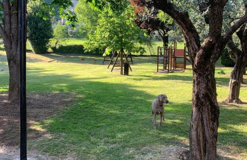 Polpenazze del Garda Bed & Breakfast | Rustico di Benellini Angela