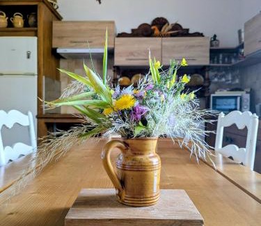 Castelnau-Valence Apartment | Séjour de Rêve au Château