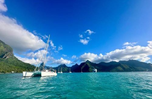 Pihaena Boat Rental | Séjour sur un catamaran, paddle et snorkeling