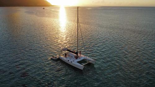 Pihaena Boat Rental | Séjour sur un catamaran, paddle et snorkeling