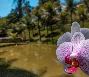 Cachoeiras de Macacu House | Sítio Bosque das Palmeiras