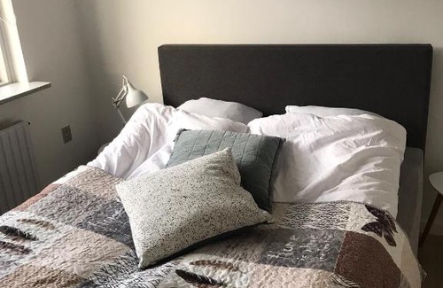 Viborg Apartment | Søhusets anneks1