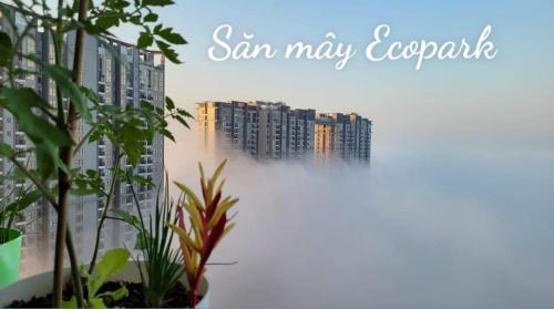 Van Giang Apartment | S2 Sky Oasis Ecopark