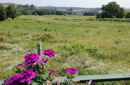 Viana do Castelo House | Saborido House - Farm in quiet environment and near the sea