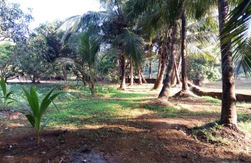 Mandrem House | Sachin homestay