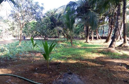 Mandrem House | Sachin homestay