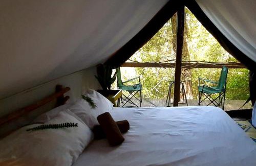 Rheenendal Other | Sacred Forest Eco Tents