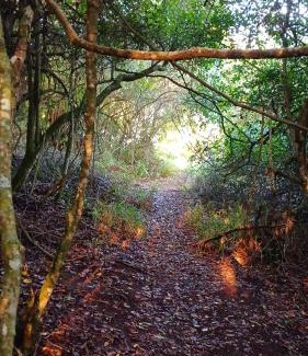 Rheenendal Other | Sacred Forest Eco Tents