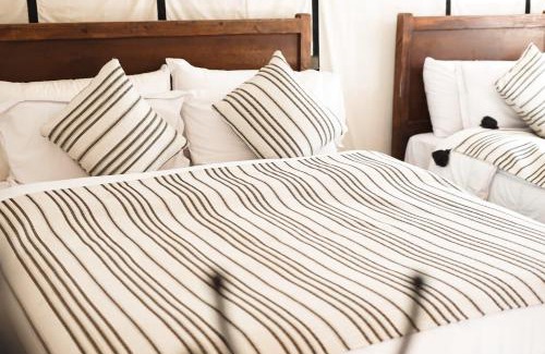 Merzouga Other | Sahara Luxurious Tented