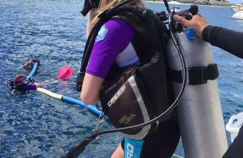 Red Hook Boat Rental | Sail Dive Sea Stuff