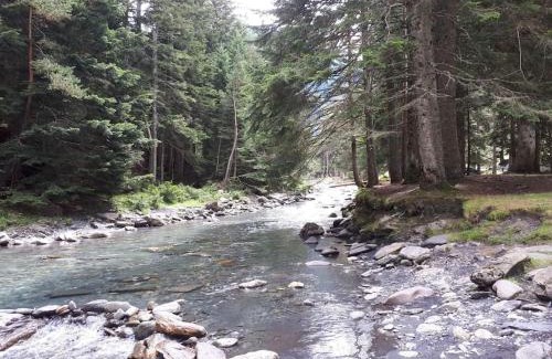 Pla d'Adet Apartment | Saint lary soulan pied des pistes du Plat d Adet